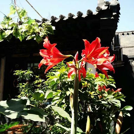 Pingyao Tian Yi Hostel Buitenkant foto